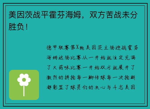 美因茨战平霍芬海姆，双方苦战未分胜负！